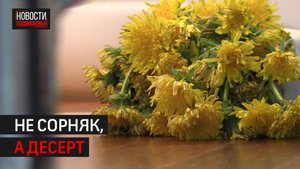 Одуванчики: как пустить растение в дело // 360 ХИМКИ