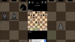 Почаще связывай фигуры в шахматах!