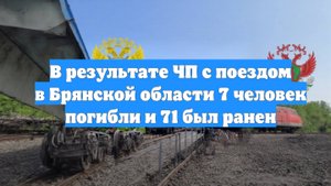 В результате ЧП с поездом в Брянской области 7 человек погибли и 71 был ранен