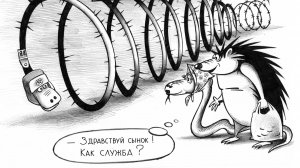 Переговоры в Стамбуле и ключевая ставка ЦБ