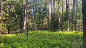 Марафон Природы 2 день.