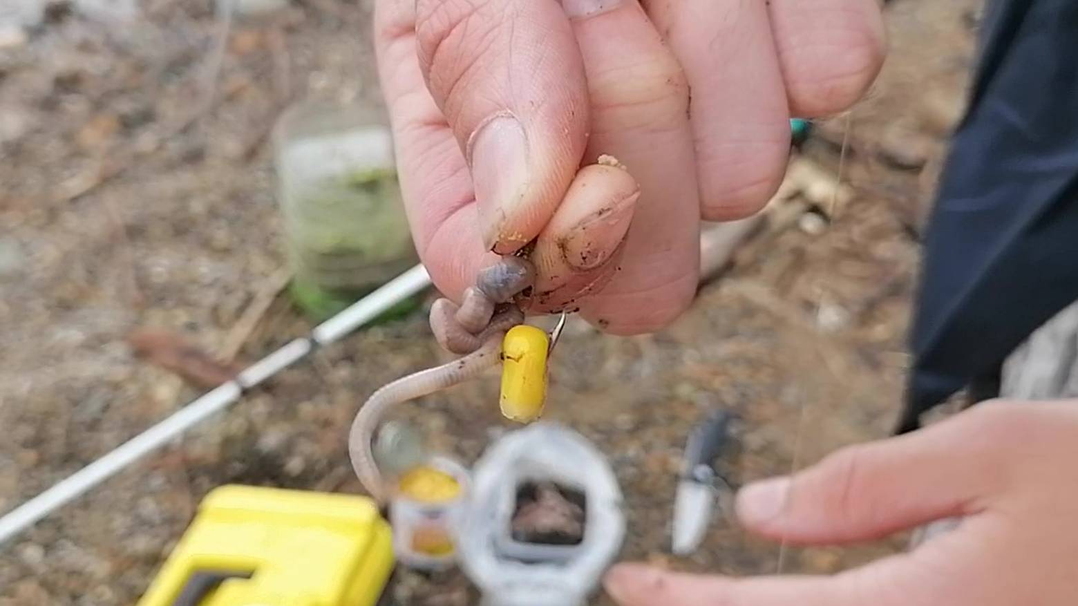 Сход единственного САЗАНА. Поймал ЛЕЩА. Рыбалка на сазана. Протока Амурская. смотреть онлайн