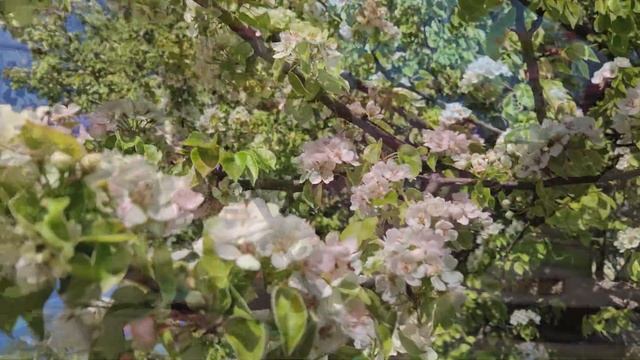 ВИШИВАЮ ВИПУСКНУ СУКНЮ, ПЕЧУ ПАСКИ, В'ЯЖУ ДЖЕМПЕР смотреть онлайн