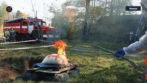 В Ижевске ликвидировали «очаг африканской чумы свиней»