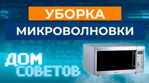 Уборка микроволновки (советы от руководителя клининговой службы)