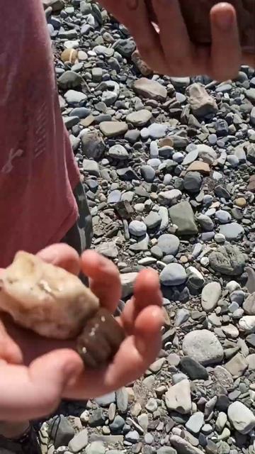 Набрали камней на изучение и помыли камни в реке Сочи смотреть онлайн