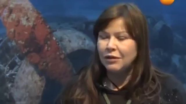 Нам и не снилось. Титаник. Секрет вечной жизни 3 серии. Правда о Титанике смотреть онлайн