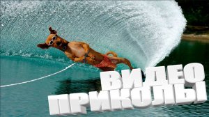 Подборка смешных 😂видео и приколов  Лучшие ПРИКОЛЫ 2025 #2