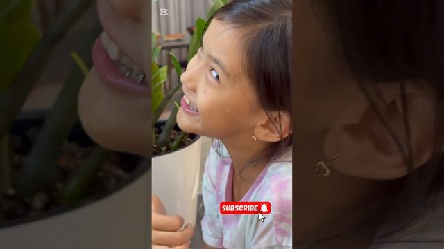 «Дубайский шоколад дома – лучше, чем в магазинах!»