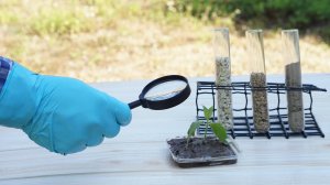 Секреты подкисления почвы