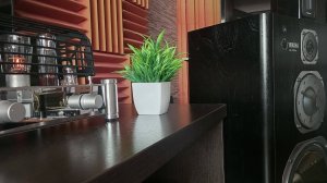 Reisong A-10 - слушаем EL34