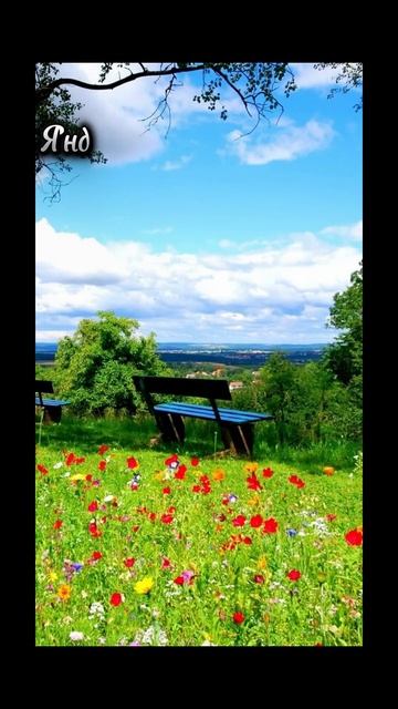 Лето официально началось!#приветлето#лето#яндекс#гача смотреть онлайн