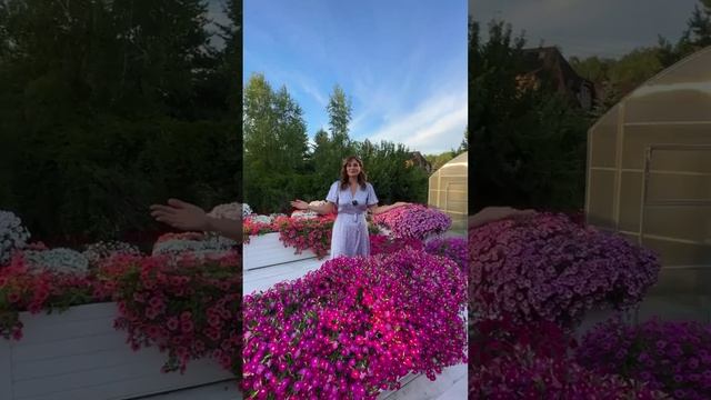 Деревянные ящики для выращивания цветов