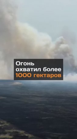 Огонь охватил более 1 000 гектаров...