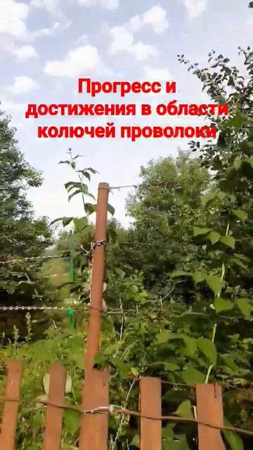 Прогресс и достижения в области колючей проволоки смотреть онлайн