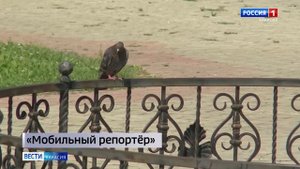 Фонтан в центральном парке Саяногорска в этом году не запустят