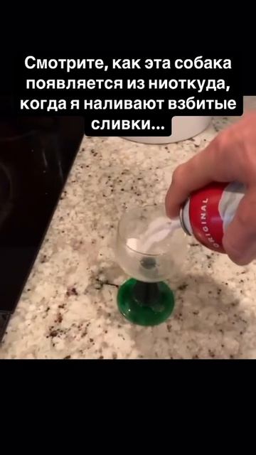 внезапное появление ❤️