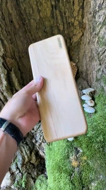 Самые лучшие доски садху #shiga_sadhu #доскисадху смотреть онлайн