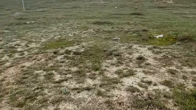 video5327829668521340861