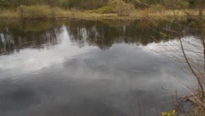 Весеннее половодье