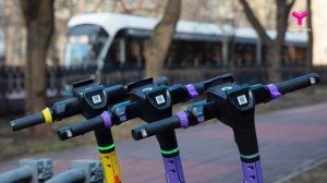 Дети на дороге