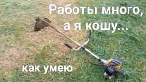 Начал ремонтировать кровлю, садим, готовим грядки, кошу траву. Работы много.