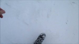 Талисманы олимпиады 2014 Мишка, зайка и леопард