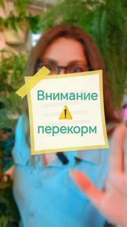 Перекорм растения азотом. Привет, я я Аня! Давай дружить цветами 🌱