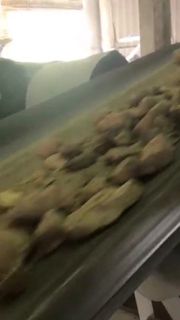 Карьер по добыче и продаже щебня в Волгоградской обла? смотреть онлайн