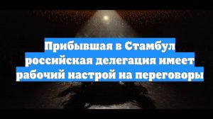 Прибывшая в Стамбул российская делегация имеет рабочий настрой на переговоры
