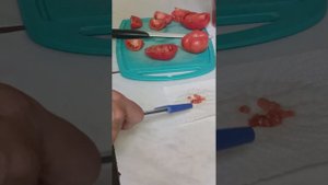 Простейший способ собрать семена томатов для посева