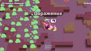 Перебил прошлый рекорд по кубкам 😱! Теперь начинаетс?