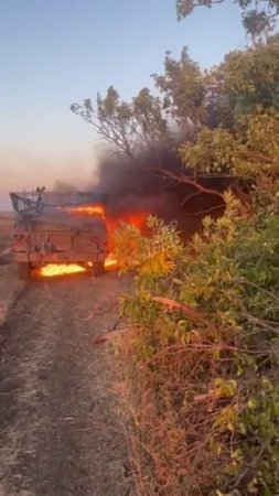 У бандерлог свое доброе утро