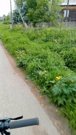 Покоряя улицы: короткое видео о моем велоприключении Velosvet: My adventures on two wheels