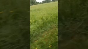 02-06-2025 Едем на рыбалку 🎣🎣🎣