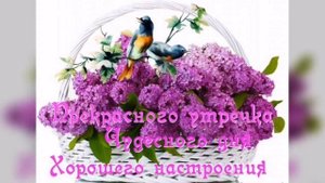 ДОБРОГО ДНЯ, ХОРОШЕГО НАСТРОЕНИЯ