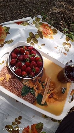 В саду вкуснее завтрак!