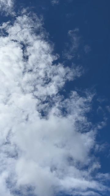 ☁️ #небо #весна #фото #видео #шортс #природа #like #follow #natur смотреть онлайн