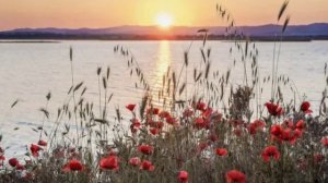 ВМЕСТЕ С ПАСТОРОМ ШАГАТЬ. Хор СПб2