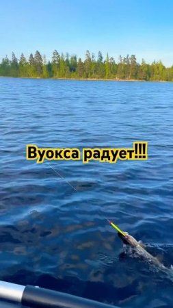 1 июня 2025 г.