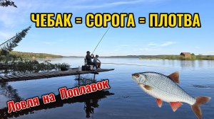 ЛОВЛЯ ПЛОТВЫ НА ПОПЛАВОЧНУЮ УДОЧКУ (Бешеный клев!)