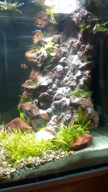 пескопад ижекторный 60см. смотреть онлайн