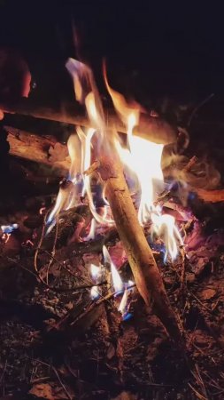 Костер в ночном лесу #Gektalife #shorts #vk_клипы #вквидео #клипы #asmr #relax