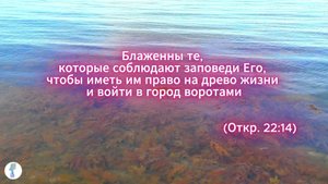 Блаженны те, которые соблюдают заповеди Его ... (Откр. 22:14)