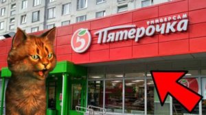 Я СБЕЖАЛ ИЗ ПЯТЕРОЧКИ В РОБЛОКСЕ