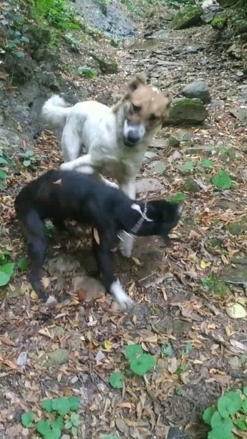 🤜👊у найды есть настоящий друг)) смотреть онлайн