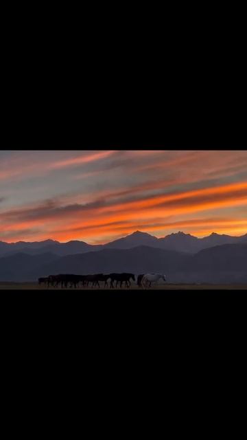 Улюнхан - сердцу милый уголок 🐎🎥@s.badlueva#улюнхан #куру? смотреть онлайн