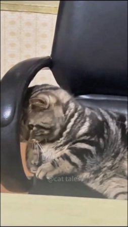 Прикольные моменты_3