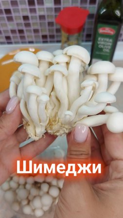 Грибы шимеджи / шимиджи