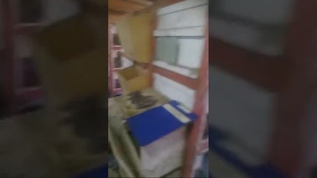 Экстренный выпуск! .Квест "Остаться в живых" часть 4. Макляк. Макрол. смотреть онлайн